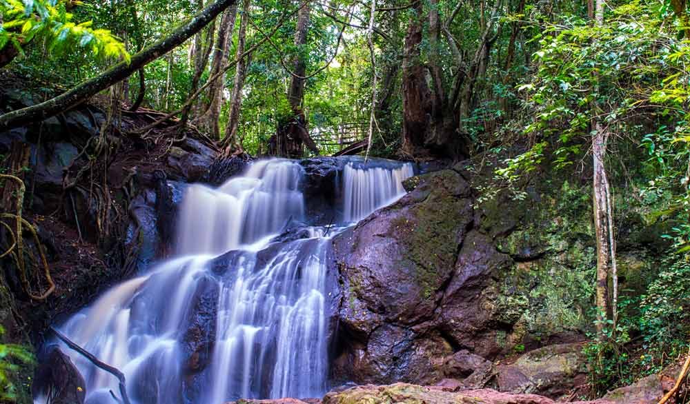 A Slow Morning Among Karura Forest's Waterfalls