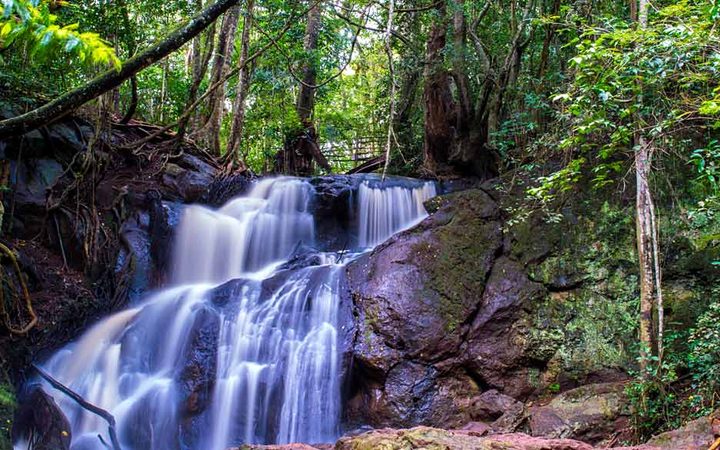 A Slow Morning Among Karura Forest's Waterfalls