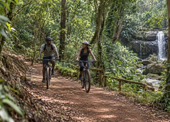 Karura Forest, Nairobi