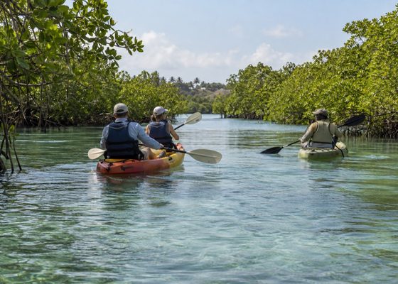Watamu Marine Reserve, Kilifi