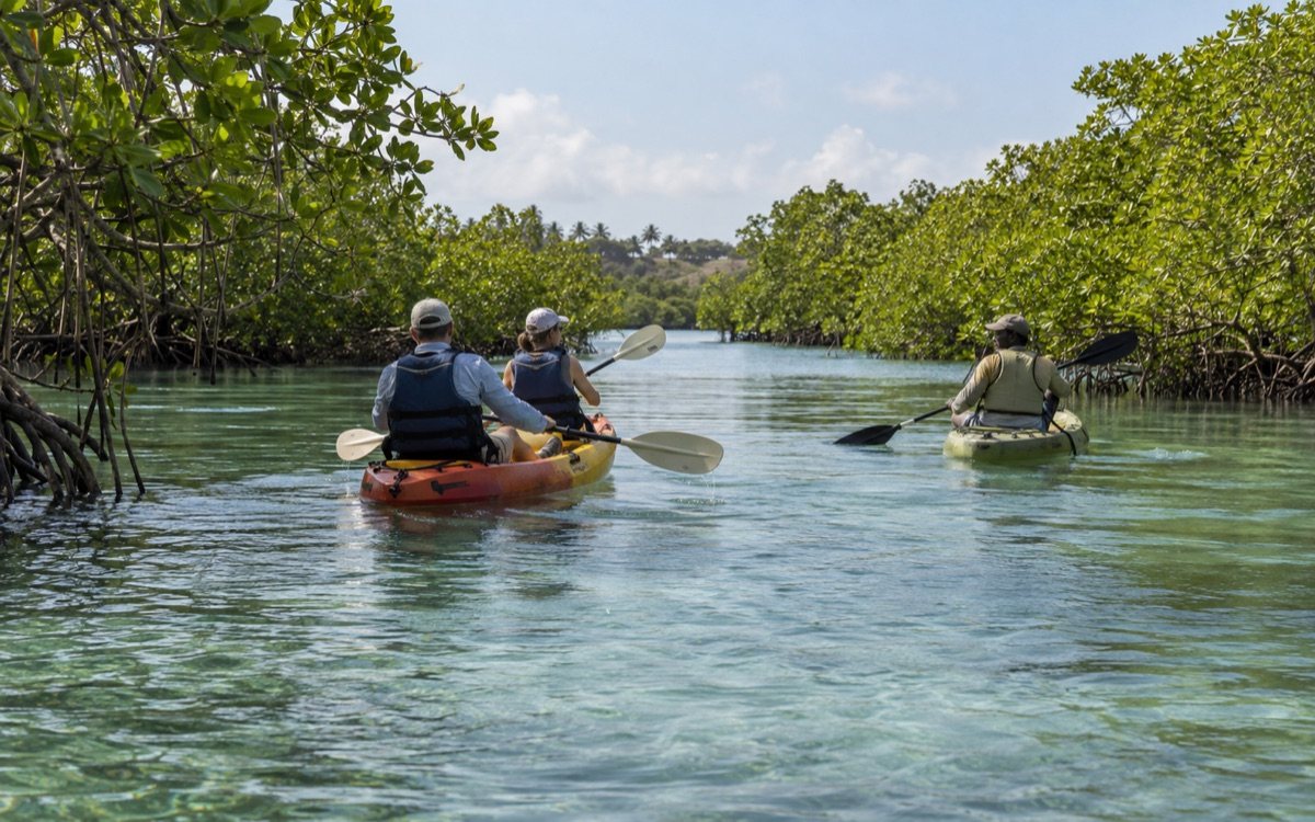 Watamu Reef & Mangrove Paddle